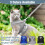 Cat Harness and Leash Set Adjustable Reflective Vest 6