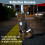 Cat Harness and Leash Set Adjustable Reflective Vest 7