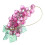 Lampshade Lantern Grape Pendant Purple 50x5x4cm 5