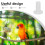 Automatic Chicken Feeder System with Replaceable Food Cups 6