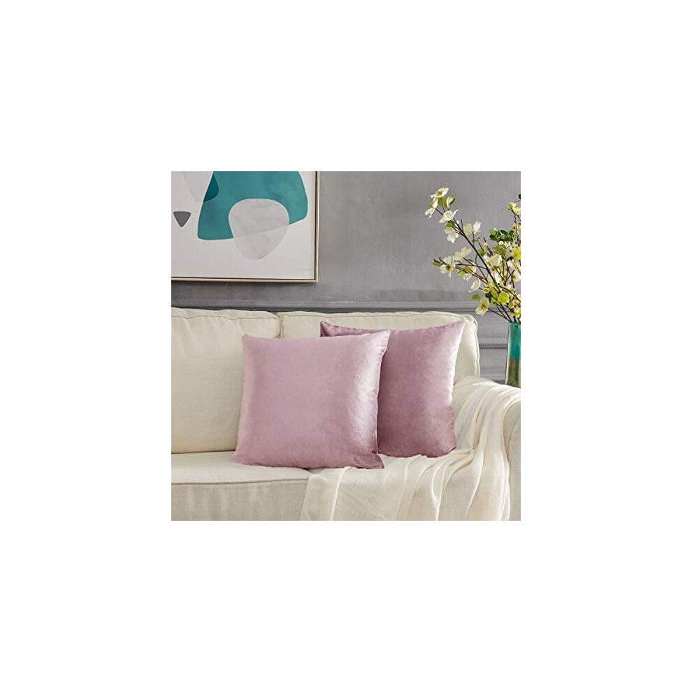 Velvet Couch Pillow Cover Set of 2 20x20 Inch Sweet Lilac