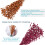 Christmas Glitter Berries Stems 50 Pcs 4