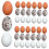 Miniature Bird Eggs Models for Dollhouse Decor 30 pcs 5