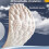 Men's and Women's Insoles with 4D Memory Foam Arch Support 4