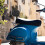 Bike Seat Rack Cushioned Backrest for Men 2