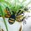 3D Bee Stickers Set 12 Pieces Two Sizes 5
