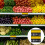 Fruit Vegetable Price Tag Set Multi Color 2 Pieces 8