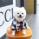 Dog Camping Hoodie Checked Pullover Spring Pajamas 6