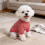Knitted Dog Pullover Sweater Red XS for Small Medium Dogs 3