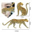 Eyeliner Stencils for Eye Makeup Shaping 12 pcs 1