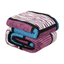 Polyester Blanket Purple 39x59 Inch Fluffy Plush