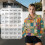 Dames cropped sweatshirt met halve rits en zonnebloem patchwork 6