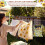 Borsa porta mollette da bucato Daisy, resistente e riutilizzabile 7