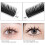 (8mm) 10 Rows C Curl Fan Lashes for Beginners 1