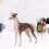 Brown Greyhound Model Ornament Desktop Decoration Toy Gift 6