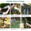 Water Filter Straw Portable Purifier for Outdoor Use 3