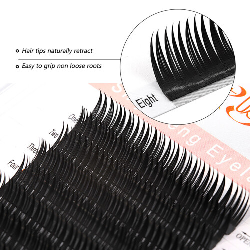 (8mm) 10 Rows C Curl Fan Lashes for Beginners 1