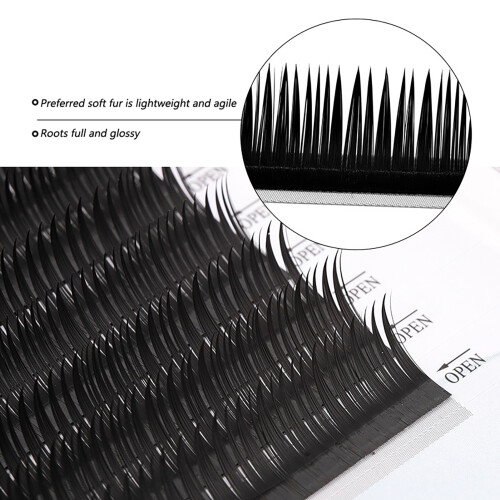 (8mm) 10 Rows C Curl Fan Lashes for Beginners 2