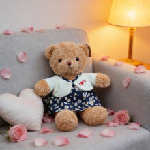 Valentine's Day Couple Teddy Bear Set Soft Velvet 2-Pack