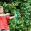 BASIOUS Cup Arrows for Kids Archery Set 6PCS 2