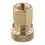 PCP Quick Disconnect Coupler 8mm 1/8 NPT Female 1