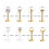 Cubic Zirconia Labret Lip Piercing Set 16 pcs 2