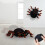 Wall-Climbing Spider Toy Remote Control with Flashing 2
