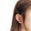 Blue Rose Stud Earrings Rose Gold Plated Crystal 1 Pair 4