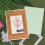 Pine Needles 3D Embossing Folders Green Plastic 6.3 x 4.5 in 4