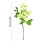Fake Blueberry Branches Light Green 5-Pack 3