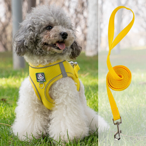 Dog Harness and Leash Set Adjustable Soft Mesh Escape-Proof 1