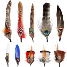 Natural Assorted Hat Feathers for Fedora Cowboy Hats 10 pcs