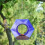 Handmade Glass Bird Feeder Blue Flower Fly-Through Design 1