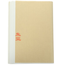 Chinese rice paper roll for calligraphy 100 sheets