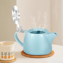 Ceramic Teapot Japanese Style 550 ml with Detachable Infuser