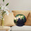 Planet Earth Plush Toy Educational 27cm 6