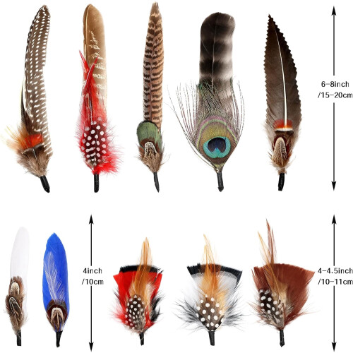 Natural Assorted Hat Feathers for Fedora Cowboy Hats 10 pcs 1