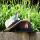Natural Assorted Hat Feathers for Fedora Cowboy Hats 10 pcs 8