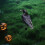 Halloween Crow Ornament Black Plastic 1 Piece 7