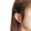 Rose Stud Earrings Rose Gold Plated Crystal 1 Pair 5