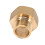 Brass water pipe adapter reducer for sanitary connections 4