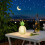 Acrylic Pineapple LED Night Light Nordic Decor 1 Piece 1