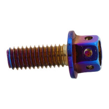 FRCOLOR Decorative License Plate Bolts M6x12mm