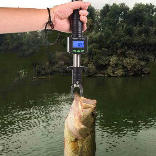 Fish Grabber with Digital Scale Stainless Steel 2