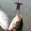 Fish Grabber with Digital Scale Stainless Steel 7