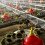 Poultry Drinking System Water Container 1 unit 6
