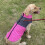 Dog Coat Reflective Waterproof Winter Warm Small Medium 7
