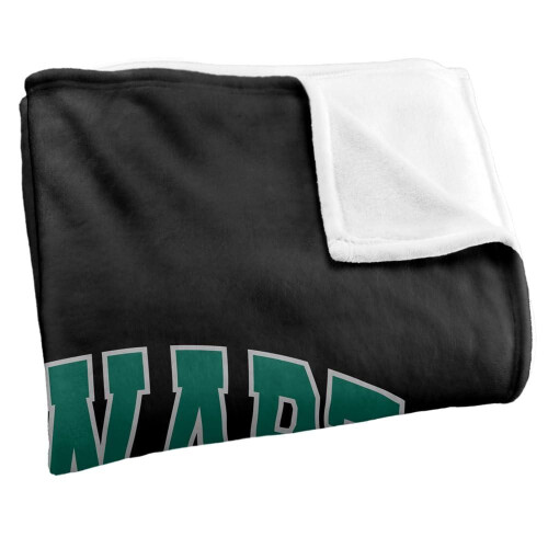 Harry Potter Harry Potter Slytherin Crest Throw 1