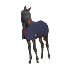 (4' 3", Navy/Burgundy) Weatherbeeta Standard-Neck 220g Horse Turnout Rug