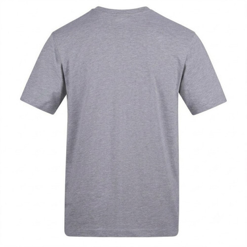 Hamilton (S, Grey) Hamilton Mens Hamilton Formula 1 T-Shirt 1
